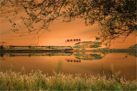 廣東自考畢業(yè)證辦理流程