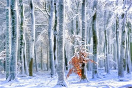 廣東自考串講筆記