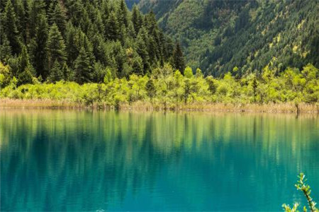 廣東自考復習資料