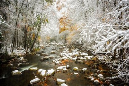 廣東自考復(fù)習(xí)資料