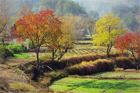 廣東自考復習資料