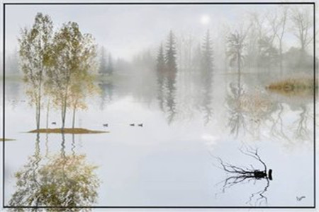 廣東自考復(fù)習(xí)資料