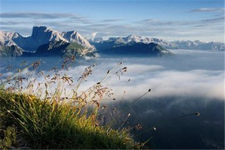 廣東自考復習資料