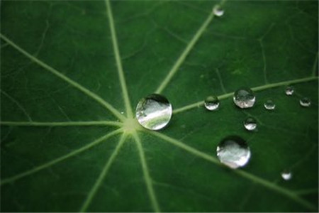 廣東自考復習資料