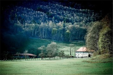 廣東自考復(fù)習(xí)資料