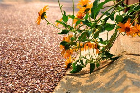 廣東自考復習資料