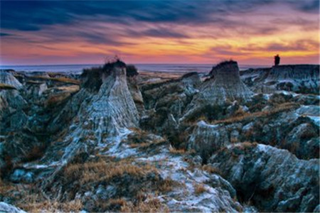 廣東自考復習資料