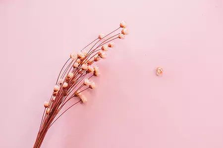 廣東自考復(fù)習(xí)資料